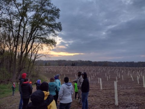 group of people standing on edge of open field where trees were recently planted