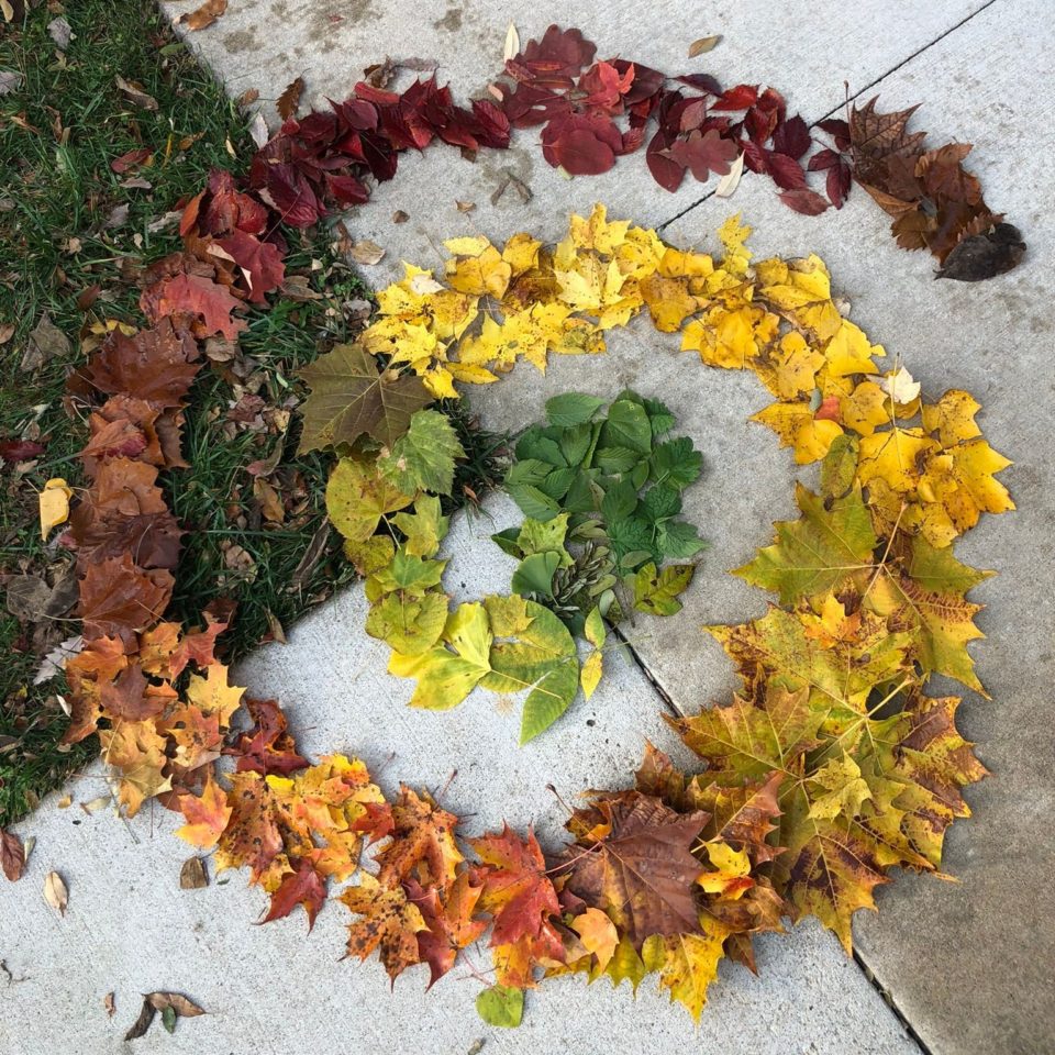 colorful leaves on ground in spiral